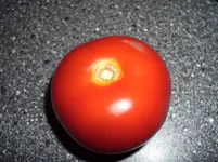 N 208.webp