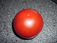 N 209.webp
