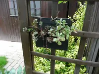 Fahradtasche.22.06.2011.webp
