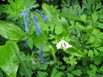 IMG_3740_1067x800.webp
