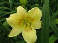 IMG_anja nr. 7_1067x800.webp