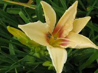 IMG_prairie charmer1_1067x800.webp