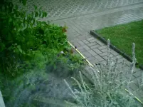 PIC00017.webp