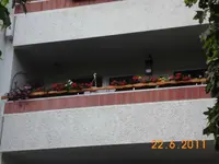 01.webp
