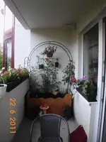 02.webp