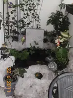 04.webp