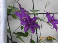 05.webp