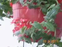 06.webp