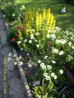JD500495.webp