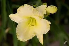 blog_1891.webp