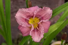 blog_2063.webp