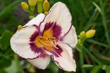 blog_2084_eyecat.webp