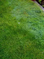 Sn151490.webp