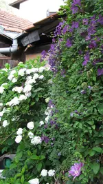 057.webp