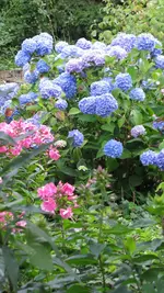 068.webp