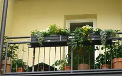 IMG_1895.webp