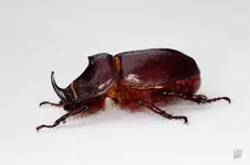 blog_2247.webp