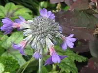 IMG_3769_1067x800.webp