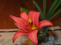 IMG_3784_1067x800.webp