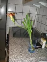 IMG_3785_600x800.webp