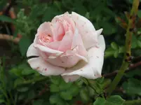 IMG_3751_1067x800.webp