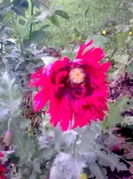 Bild1718.webp