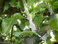 DSC01373.webp