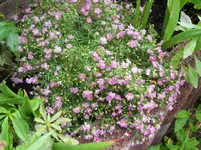 DSCN0809.webp