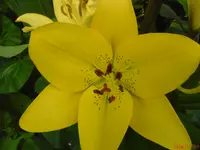DSC00931.webp