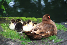 IMG_2915 - Kopie.webp