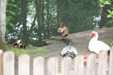 IMG_2888 - Kopie.webp