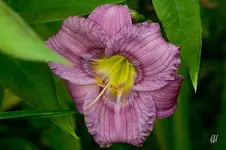 blog_2370.webp
