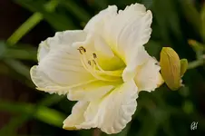 blog_2289.webp