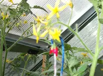 DSCF0048.webp
