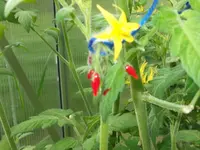 DSCF0049.webp