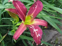 IMG_abba dabba do_1067x800.webp