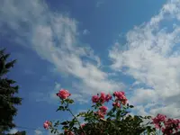 Himmlisch062.webp