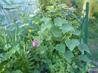 DSC00969.webp