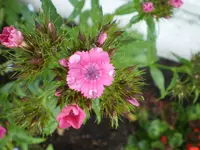 04.webp