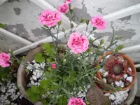 07.webp