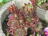 IMG_3761_1067x800.webp