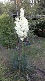 02.webp