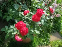023.webp