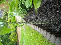DSCN0050.webp