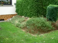 PICT4821.webp