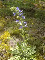 25062011363.webp