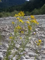 25062011364.webp
