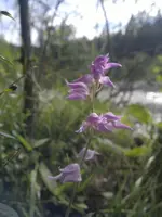 25062011388.webp