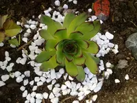 210520112777.webp
