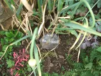 k-DSCF0093.webp
